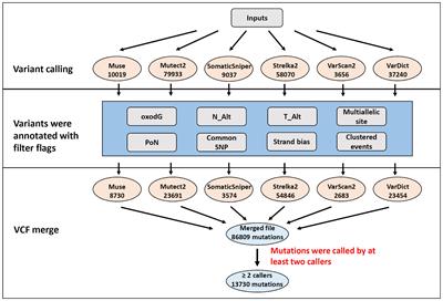 Precise Identification of Recurrent Somatic Mutations in Oral Cancer Through Whole-Exome Sequencing Using Multiple Mutation Calling Pipelines